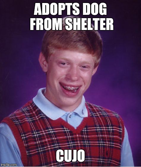 Bad Luck Brian Meme | ADOPTS DOG FROM SHELTER CUJO | image tagged in memes,bad luck brian | made w/ Imgflip meme maker