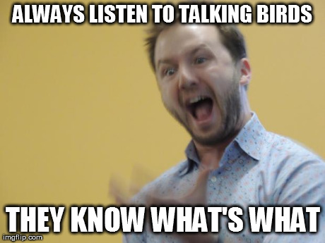 ALWAYS LISTEN TO TALKING BIRDS THEY KNOW WHAT'S WHAT | made w/ Imgflip meme maker