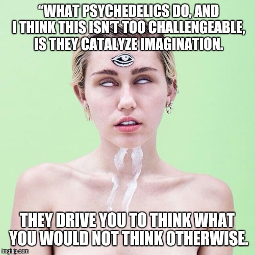 Mystic Miley | “WHAT PSYCHEDELICS DO, AND I THINK THIS ISN’T TOO CHALLENGEABLE, IS THEY CATALYZE IMAGINATION. THEY DRIVE YOU TO THINK WHAT YOU WOULD NOT TH | image tagged in mystic miley,psychedelics | made w/ Imgflip meme maker