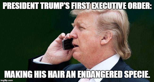 President Trump | PRESIDENT TRUMP'S FIRST EXECUTIVE ORDER: MAKING HIS HAIR AN ENDANGERED SPECIE. | image tagged in donald trump,president,hair,haircut,trump | made w/ Imgflip meme maker