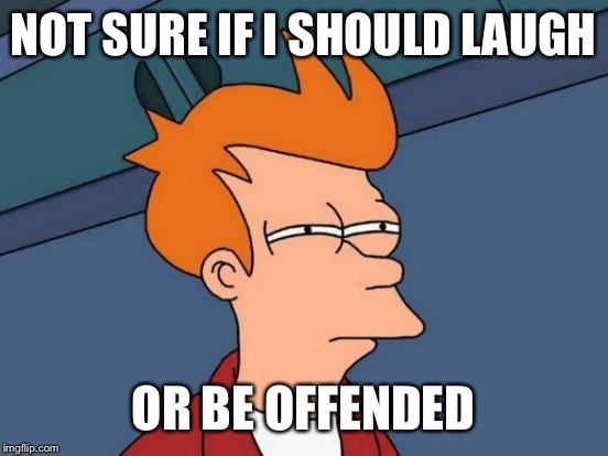 When someone makes a joke about you | NOT SURE IF I SHOULD LAUGH OR BE OFFENDED | image tagged in memes,futurama fry | made w/ Imgflip meme maker
