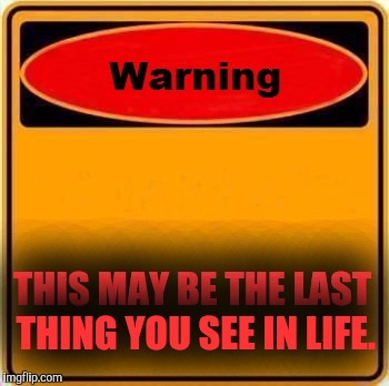 Warning Sign Meme | THIS MAY BE THE LAST THING YOU SEE IN LIFE. | image tagged in memes,warning sign | made w/ Imgflip meme maker