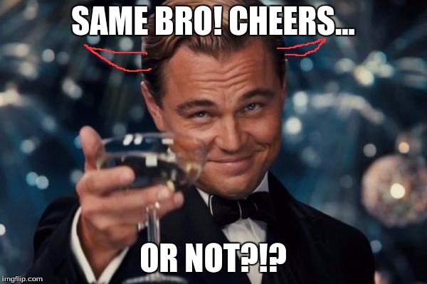 Leonardo Dicaprio Cheers Meme | SAME BRO! CHEERS... OR NOT?!? | image tagged in memes,leonardo dicaprio cheers | made w/ Imgflip meme maker