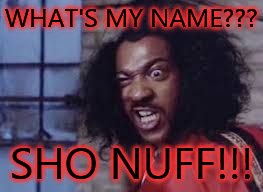 sho nuff | WHAT'S MY NAME??? SHO NUFF!!! | image tagged in sho nuff | made w/ Imgflip meme maker