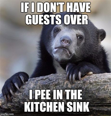 Confession Bear Meme | IF I DON'T HAVE GUESTS OVER I PEE IN THE KITCHEN SINK | image tagged in memes,confession bear,AdviceAnimals | made w/ Imgflip meme maker