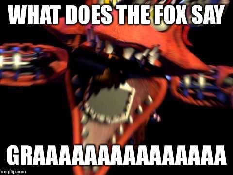 WHAT DOES THE FOX SAY GRAAAAAAAAAAAAAAA | image tagged in foxy,fnaf | made w/ Imgflip meme maker
