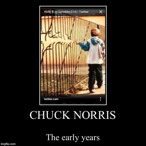 image tagged in funny,demotivationals,chuck norris | made w/ Imgflip demotivational maker