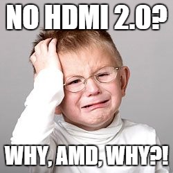 NO HDMI 2.0? WHY, AMD, WHY?! | image tagged in amd hdmi 20 | made w/ Imgflip meme maker