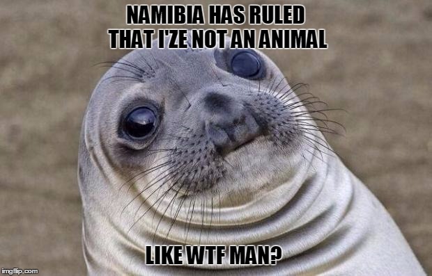 Namibian Memes