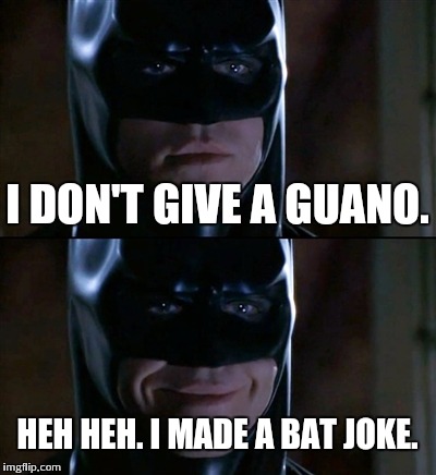 Batman Smiles Meme | I DON'T GIVE A GUANO. HEH HEH. I MADE A BAT JOKE. | image tagged in memes,batman smiles | made w/ Imgflip meme maker