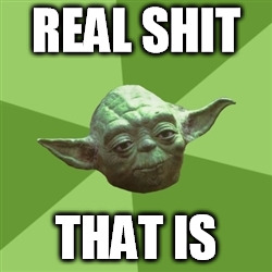 Advice Yoda | REAL SHIT THAT IS | image tagged in memes,advice yoda | made w/ Imgflip meme maker