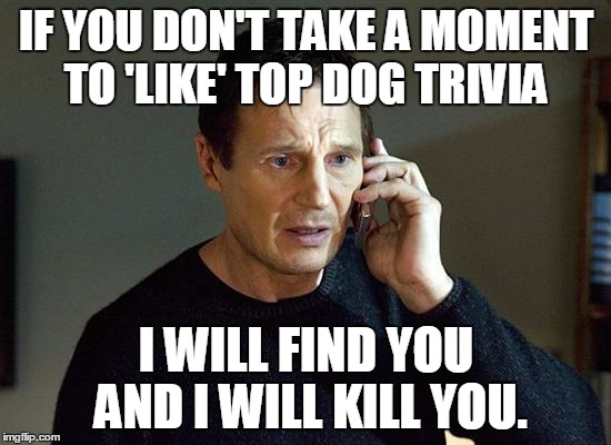 Liam Neeson Taken 2 Meme - Imgflip