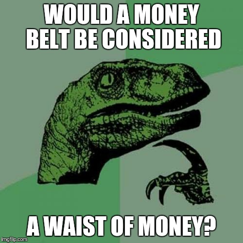 Philosoraptor Meme | WOULD A MONEY BELT BE CONSIDERED A WAIST OF MONEY? | image tagged in memes,philosoraptor | made w/ Imgflip meme maker