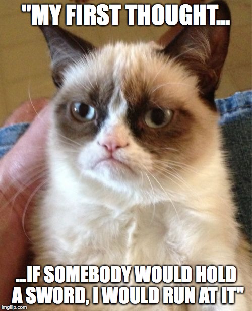 Grumpy Cat Meme | "MY FIRST THOUGHT... ...IF SOMEBODY WOULD HOLD A SWORD, I WOULD RUN AT IT" | image tagged in memes,grumpy cat | made w/ Imgflip meme maker