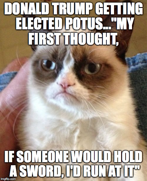 Grumpy Cat Meme | DONALD TRUMP GETTING ELECTED POTUS..."MY FIRST THOUGHT, IF SOMEONE WOULD HOLD A SWORD, I'D RUN AT IT" | image tagged in memes,grumpy cat | made w/ Imgflip meme maker