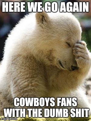 Facepalm Bear Meme | HERE WE GO AGAIN COWBOYS FANS WITH THE DUMB SHIT | image tagged in memes,facepalm bear | made w/ Imgflip meme maker
