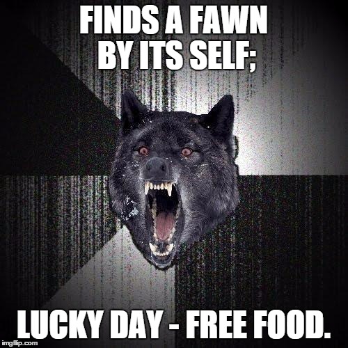 FINDS A FAWN BY ITS SELF; LUCKY DAY - FREE FOOD. | made w/ Imgflip meme maker