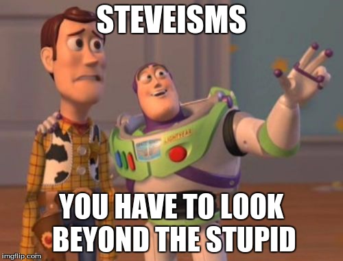 X, X Everywhere Meme | STEVEISMS YOU HAVE TO LOOK BEYOND THE STUPID | image tagged in memes,x x everywhere | made w/ Imgflip meme maker