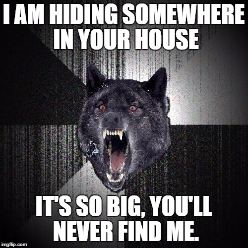 I AM HIDING SOMEWHERE IN YOUR HOUSE IT'S SO BIG, YOU'LL NEVER FIND ME. | made w/ Imgflip meme maker