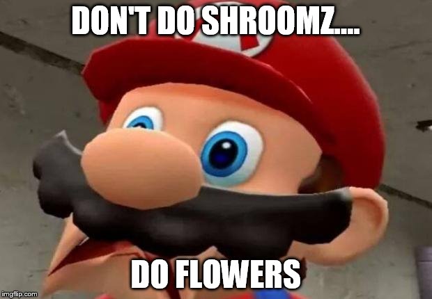 Mario WTF | DON'T DO SHROOMZ.... DO FLOWERS | image tagged in mario wtf | made w/ Imgflip meme maker