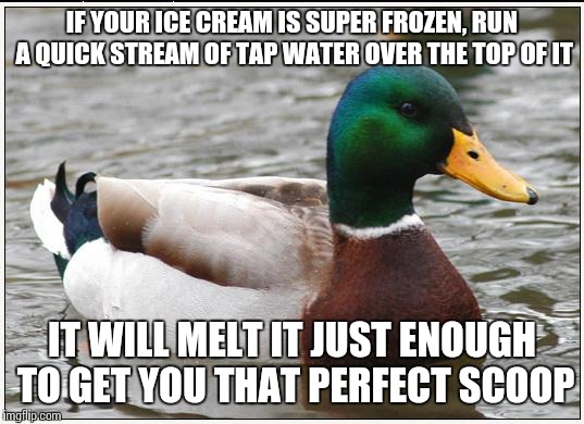 Actual Advice Mallard | IF YOUR ICE CREAM IS SUPER FROZEN, RUN A QUICK STREAM OF TAP WATER OVER THE TOP OF IT IT WILL MELT IT JUST ENOUGH TO GET YOU THAT PERFECT SC | image tagged in memes,actual advice mallard | made w/ Imgflip meme maker