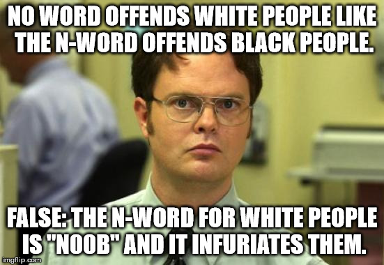 The White N-Word | NO WORD OFFENDS WHITE PEOPLE LIKE THE N-WORD OFFENDS BLACK PEOPLE. FALSE: THE N-WORD FOR WHITE PEOPLE IS "N00B" AND IT INFURIATES THEM. | image tagged in memes,dwight schrute,the n word,white people,funny | made w/ Imgflip meme maker