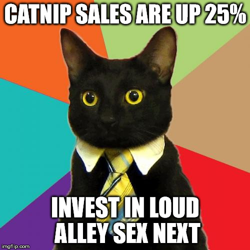 Business Cat Meme | CATNIP SALES ARE UP 25% INVEST IN LOUD ALLEY SEX NEXT | image tagged in memes,business cat | made w/ Imgflip meme maker