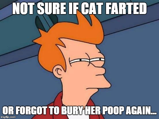 Futurama Fry Meme | NOT SURE IF CAT FARTED OR FORGOT TO BURY HER POOP AGAIN... | image tagged in memes,futurama fry | made w/ Imgflip meme maker