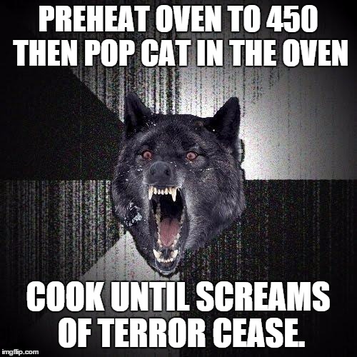 PREHEAT OVEN TO 450 THEN POP CAT IN THE OVEN COOK UNTIL SCREAMS OF TERROR CEASE. | made w/ Imgflip meme maker