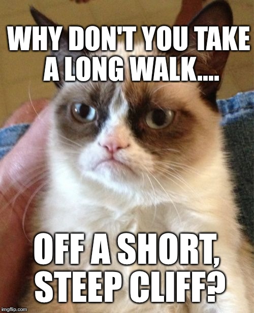 Grumpy Cat | WHY DON'T YOU TAKE A LONG WALK.... OFF A SHORT, STEEP CLIFF? | image tagged in memes,grumpy cat | made w/ Imgflip meme maker