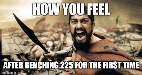 Sparta Leonidas Meme | HOW YOU FEEL AFTER BENCHING 225 FOR THE FIRST TIME | image tagged in memes,sparta leonidas | made w/ Imgflip meme maker