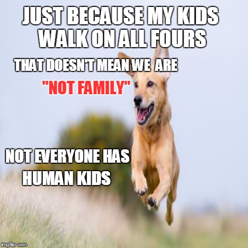 My Fury Kids | JUST BECAUSE MY KIDS WALK ON ALL FOURS THAT DOESN'T MEAN WE  ARE "NOT FAMILY" NOT EVERYONE HAS HUMAN KIDS | image tagged in dogs,kids,animals | made w/ Imgflip meme maker