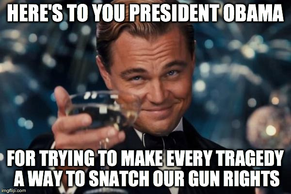 Leonardo Dicaprio Cheers | HERE'S TO YOU PRESIDENT OBAMA FOR TRYING TO MAKE EVERY TRAGEDY A WAY TO SNATCH OUR GUN RIGHTS | image tagged in memes,leonardo dicaprio cheers | made w/ Imgflip meme maker