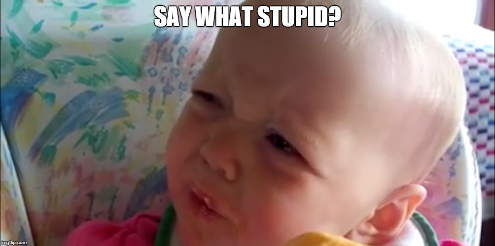 SAY WHAT STUPID? | image tagged in say what | made w/ Imgflip meme maker