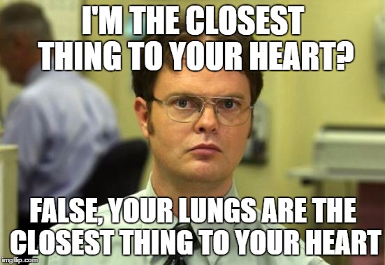 Dwight Schrute Meme | I'M THE CLOSEST THING TO YOUR HEART? FALSE, YOUR LUNGS ARE THE CLOSEST THING TO YOUR HEART | image tagged in memes,dwight schrute | made w/ Imgflip meme maker
