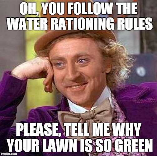 Meanwhile in Cali.... | OH, YOU FOLLOW THE WATER RATIONING RULES PLEASE, TELL ME WHY YOUR LAWN IS SO GREEN | image tagged in memes,creepy condescending wonka | made w/ Imgflip meme maker