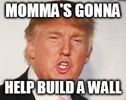 Trumped | MOMMA'S GONNA HELP BUILD A WALL | image tagged in memes | made w/ Imgflip meme maker