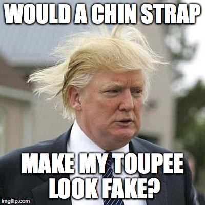 Donald Trump | WOULD A CHIN STRAP MAKE MY TOUPEE LOOK FAKE? | image tagged in donald trump | made w/ Imgflip meme maker