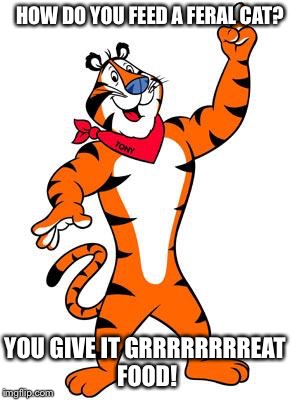 Tony the tiger | HOW DO YOU FEED A FERAL CAT? YOU GIVE IT GRRRRRRRREAT FOOD! | image tagged in tony the tiger | made w/ Imgflip meme maker