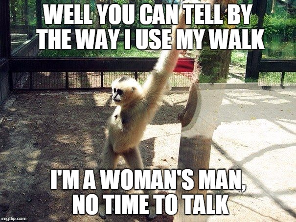 Monkey sing monkey boo | WELL YOU CAN TELL BY THE WAY I USE MY WALK I'M A WOMAN'S MAN, NO TIME TO TALK | image tagged in monkey,bee gees | made w/ Imgflip meme maker