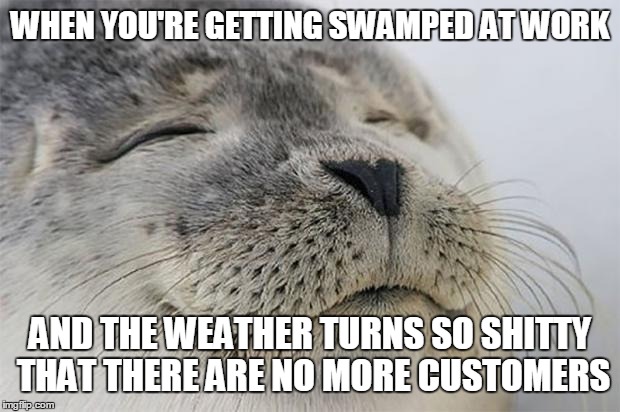 Satisfied Seal Meme | WHEN YOU'RE GETTING SWAMPED AT WORK AND THE WEATHER TURNS SO SHITTY THAT THERE ARE NO MORE CUSTOMERS | image tagged in memes,satisfied seal | made w/ Imgflip meme maker