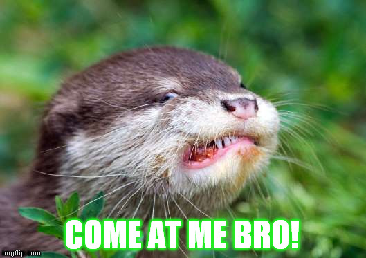COME AT ME BRO! | image tagged in come at me bro,come at me bruh | made w/ Imgflip meme maker