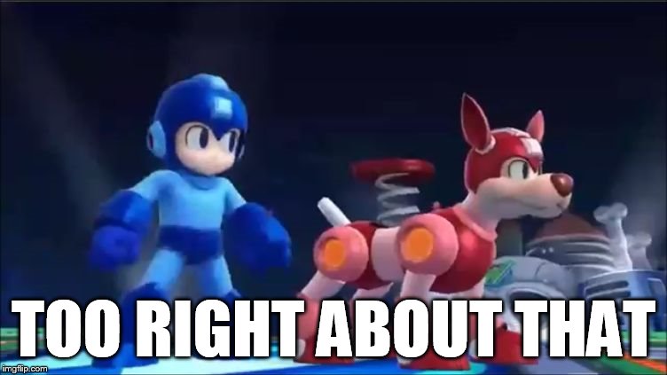Megaman and Rush | TOO RIGHT ABOUT THAT | image tagged in megaman and rush | made w/ Imgflip meme maker
