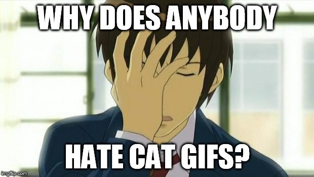 Kyon Facepalm Ver 2 | WHY DOES ANYBODY HATE CAT GIFS? | image tagged in kyon facepalm ver 2 | made w/ Imgflip meme maker