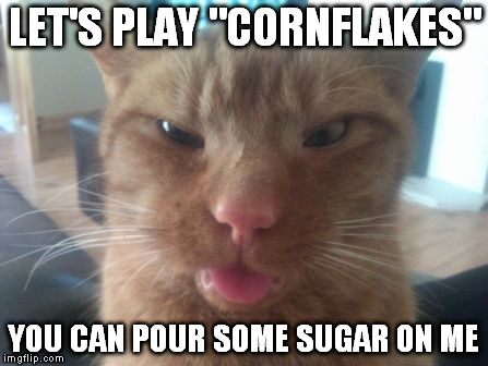 derpcat | LET'S PLAY "CORNFLAKES" YOU CAN POUR SOME SUGAR ON ME | image tagged in derpcat | made w/ Imgflip meme maker