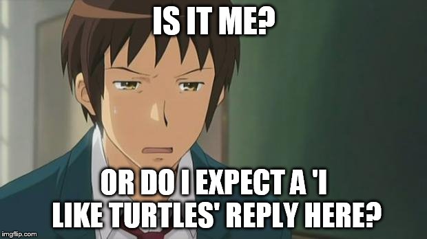 Kyon WTF | IS IT ME? OR DO I EXPECT A 'I LIKE TURTLES' REPLY HERE? | image tagged in kyon wtf | made w/ Imgflip meme maker