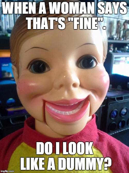 WHEN A WOMAN SAYS THAT'S "FINE". DO I LOOK LIKE A DUMMY? | image tagged in dummy knows | made w/ Imgflip meme maker
