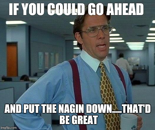 That Would Be Great | IF YOU COULD GO AHEAD AND PUT THE NAGIN DOWN.....THAT'D BE GREAT | image tagged in memes,that would be great | made w/ Imgflip meme maker