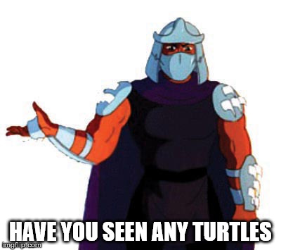 HAVE YOU SEEN ANY TURTLES | image tagged in teenage mutant ninja turtles | made w/ Imgflip meme maker