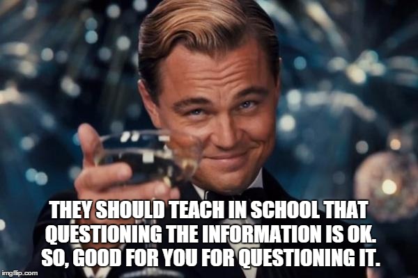 Leonardo Dicaprio Cheers Meme | THEY SHOULD TEACH IN SCHOOL THAT QUESTIONING THE INFORMATION IS OK. SO, GOOD FOR YOU FOR QUESTIONING IT. | image tagged in memes,leonardo dicaprio cheers | made w/ Imgflip meme maker